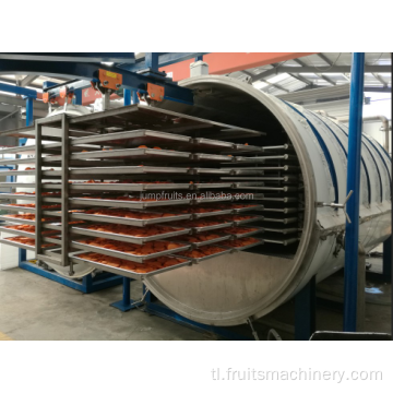 Pang -industriya na pinatuyong mangga pinya vacuum freeze dryer